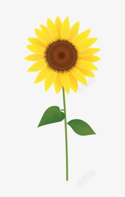向日葵植物卡通向日葵高清图片