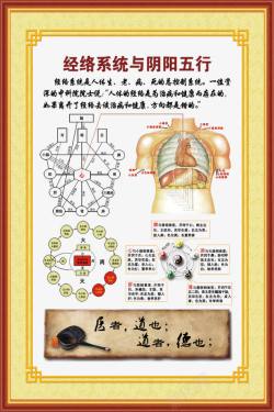 中华文明图片经络系统与阴阳五行高清图片