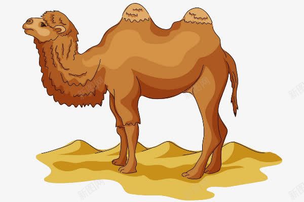 沙漠里的骆驼png免抠素材_88icon https://88icon.com png图形 png装饰 动物 双峰驼 手绘 沙漠 装饰 骆驼 骆驼科生物