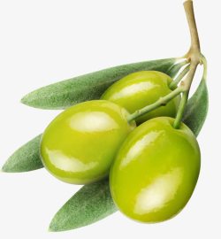 橄榄果素材绿色橄榄果绿叶高清图片