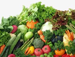 蔬菜素描卡通食物精品蔬菜素材