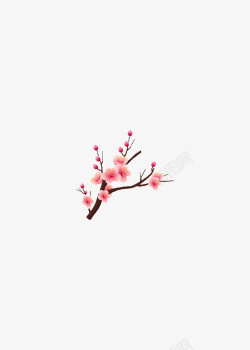 一枝红梅淡粉色的梅花喜庆高清图片