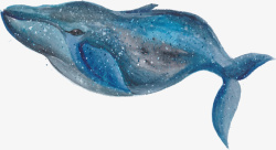 水彩手绘精美的海豚矢量图素材