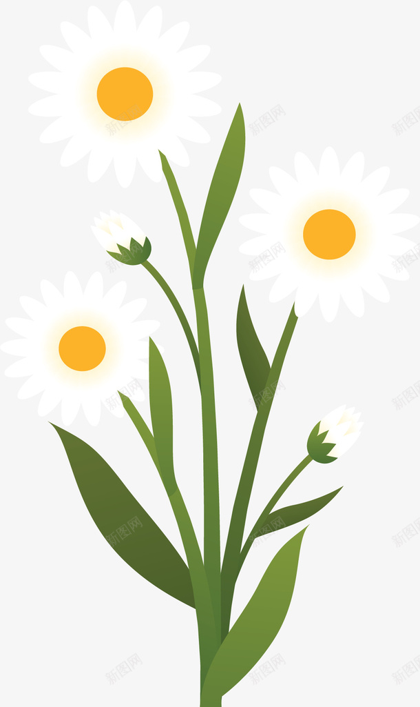 一束白色的小雏菊矢量图ai免抠素材_88icon https://88icon.com daisy 小雏菊 春天 春花 白色雏菊 矢量png 矢量图 雏菊