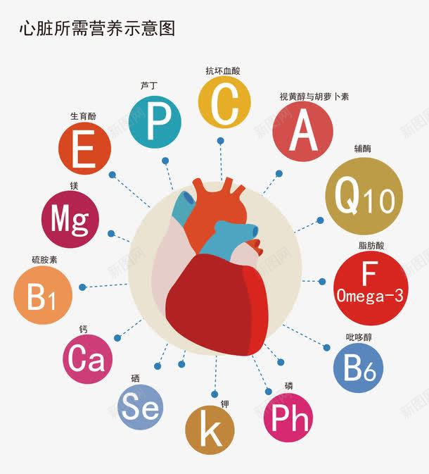 心脏所需营养示意图png免抠素材_88icon https://88icon.com 免抠图 字母 心脏 心脏抽象示意图 效果图 营养物质 装饰图 装饰画