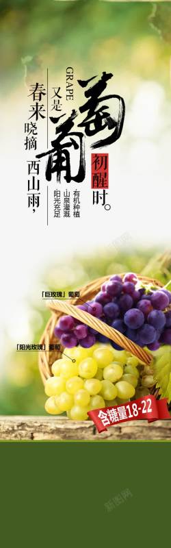 农产品展架葡萄海报高清图片