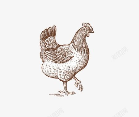 蔬菜鸡肉鸡养鸡图标图标