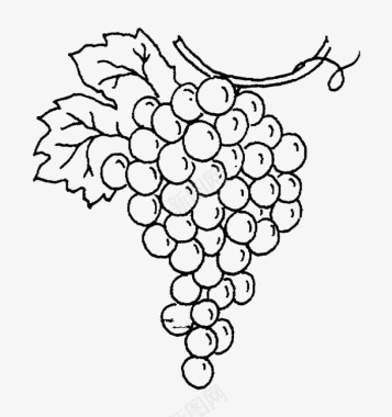 水果矢量颗粒可爱葡萄简笔画图标图标