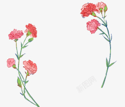 母亲节手绘插图康乃馨花卉边框素材