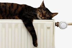 暖气片暖气片和猫高清图片