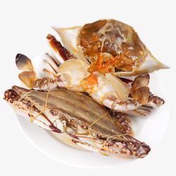 白色螃蟹白色盘里的梭子蟹高清图片