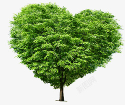 心形的树绿树春天素材