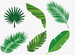 创意绿色热带树叶素材