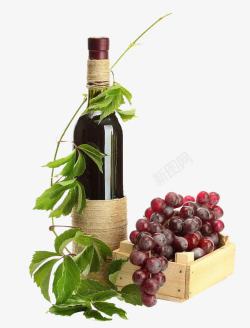 饮酒藤蔓缠绕的葡萄酒高清图片
