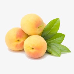 黄桃水果素材
