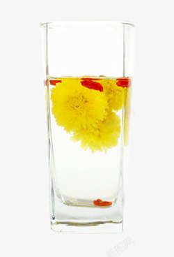 玻璃杯中的菊花茶素材