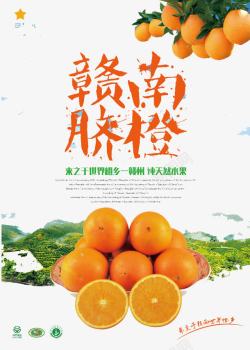 橙子宣传脐橙高清图片