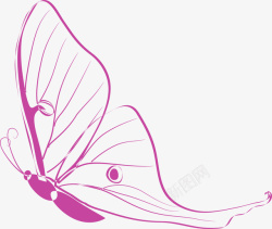 紫色线条蝴蝶素材