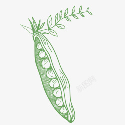 卡通豆子绿色豌豆唯美手绘矢量图高清图片