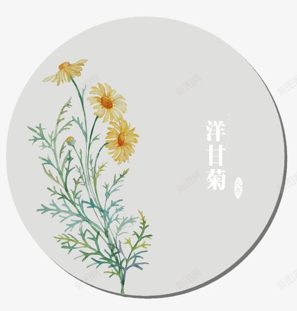 洋甘菊psd免抠素材_88icon https://88icon.com 抗过敏 植物 水彩 纯露 花