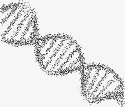 脱氧核糖核酸脱氧核糖核酸分子结构高清图片