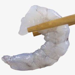 白色虾仁大虾仁高清图片