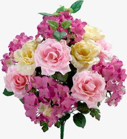 春季清新粉色玫瑰花束素材