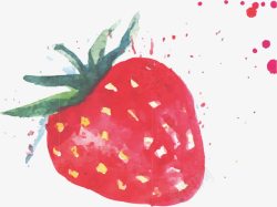 彩绘水果草莓矢量图高清图片