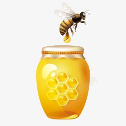 蜂蜜蜂巢蜜蜂素材