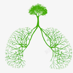手绘分支结构图大树肺部的结构图高清图片