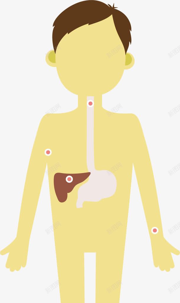 医学的人体器官卡通png免抠素材_88icon https://88icon.com 人体 器官 生物医药 生物医药产业 生物医药展板 生物医药广告 生物医药整容