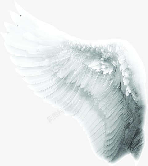 白色天使翅膀png免抠素材_88icon https://88icon.com 产品实物 人工制造 天使与魔鬼 天使羽翼 羽毛 钢铁骨架