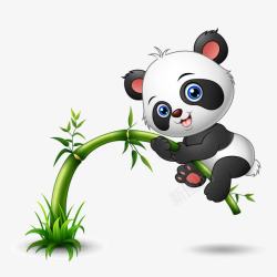竹子上的黑线图片趴在竹子上的熊猫高清图片
