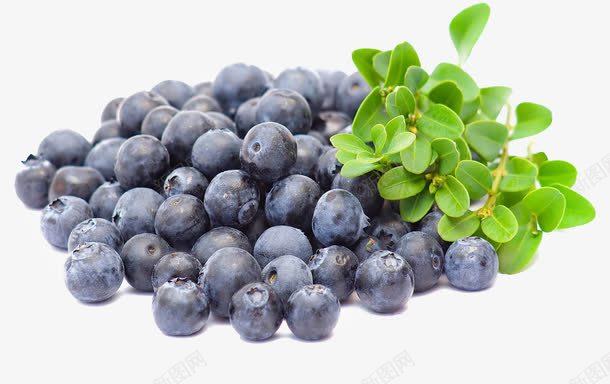一堆蓝莓png免抠素材_88icon https://88icon.com PNG图形 PNG装饰 水果 绿叶 蓝莓 装饰