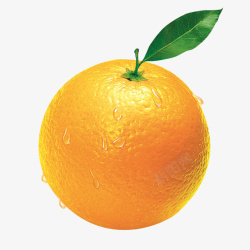 刚洗的橙子水果橙子素材