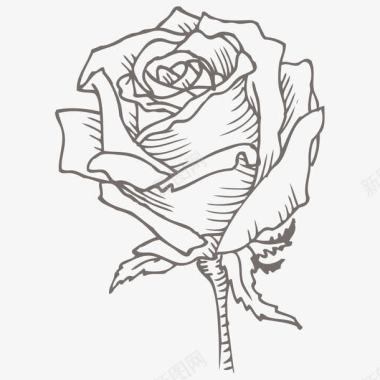 线描飞蛾玫瑰花素描图标图标