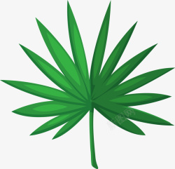 创意绿色棕榈叶植物图素材