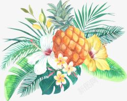 热带水果菠萝素材