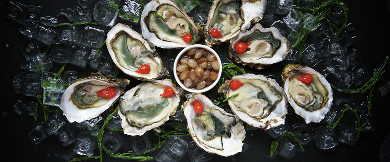 美食背景jpg_88icon https://88icon.com 冰块 摄影 海报banner 海鲜 生蚝 美食 贝壳 风景