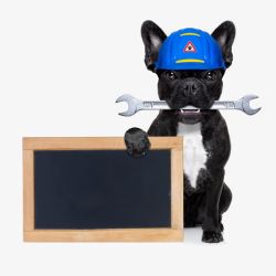上门维修创意小狗与黑板高清图片