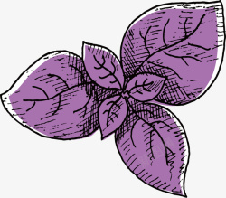 手绘紫苏苗矢量图素材