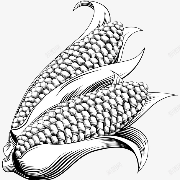 手绘玉米png免抠素材_88icon https://88icon.com 两个玉米的手绘 手绘 漫画 火车手绘 玉米 线条 绘制 黑白