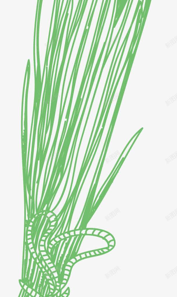 韭菜火锅食物香料png免抠素材_88icon https://88icon.com 叶子 手绘香料 火锅食物香料 火锅香料 绿色 美食香料 调味香料 辛香料 韭菜
