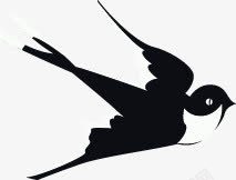 春天黑色燕子插图素材