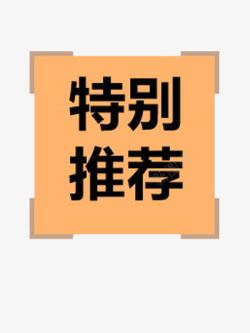 畅销热卖特别推荐款式高清图片