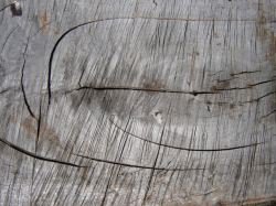 带裂缝的木板素材