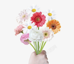 韩式拿着鲜花的手素材