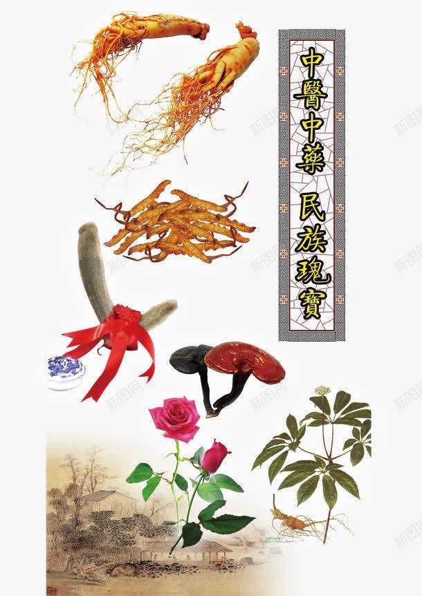 中医名片药材中药海报png免抠素材_88icon https://88icon.com 中医名片 中药 健康 药材