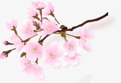 春天绽放的粉色桃花素材