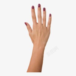 举起手的女人女人手示意图数字五高清图片
